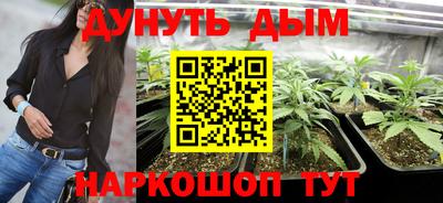 дурь Будённовск