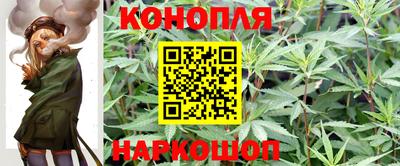 дурь Будённовск